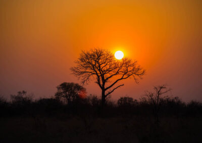 Posta de sol al parc Nacional Kruger, Sud-Àfrica