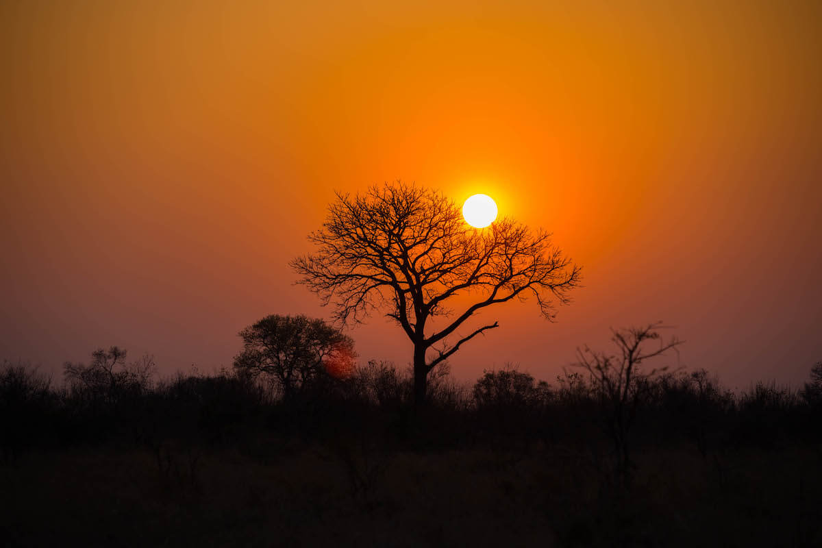 Posta de sol al parc Nacional Kruger, Sud-Àfrica