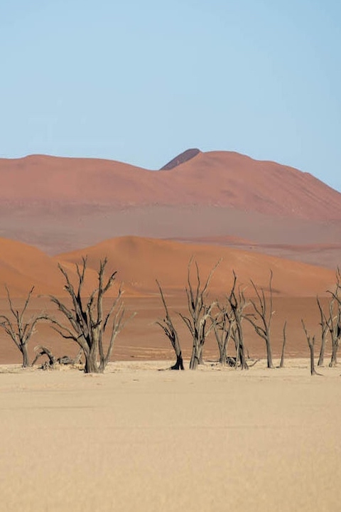 desert de Namíbia