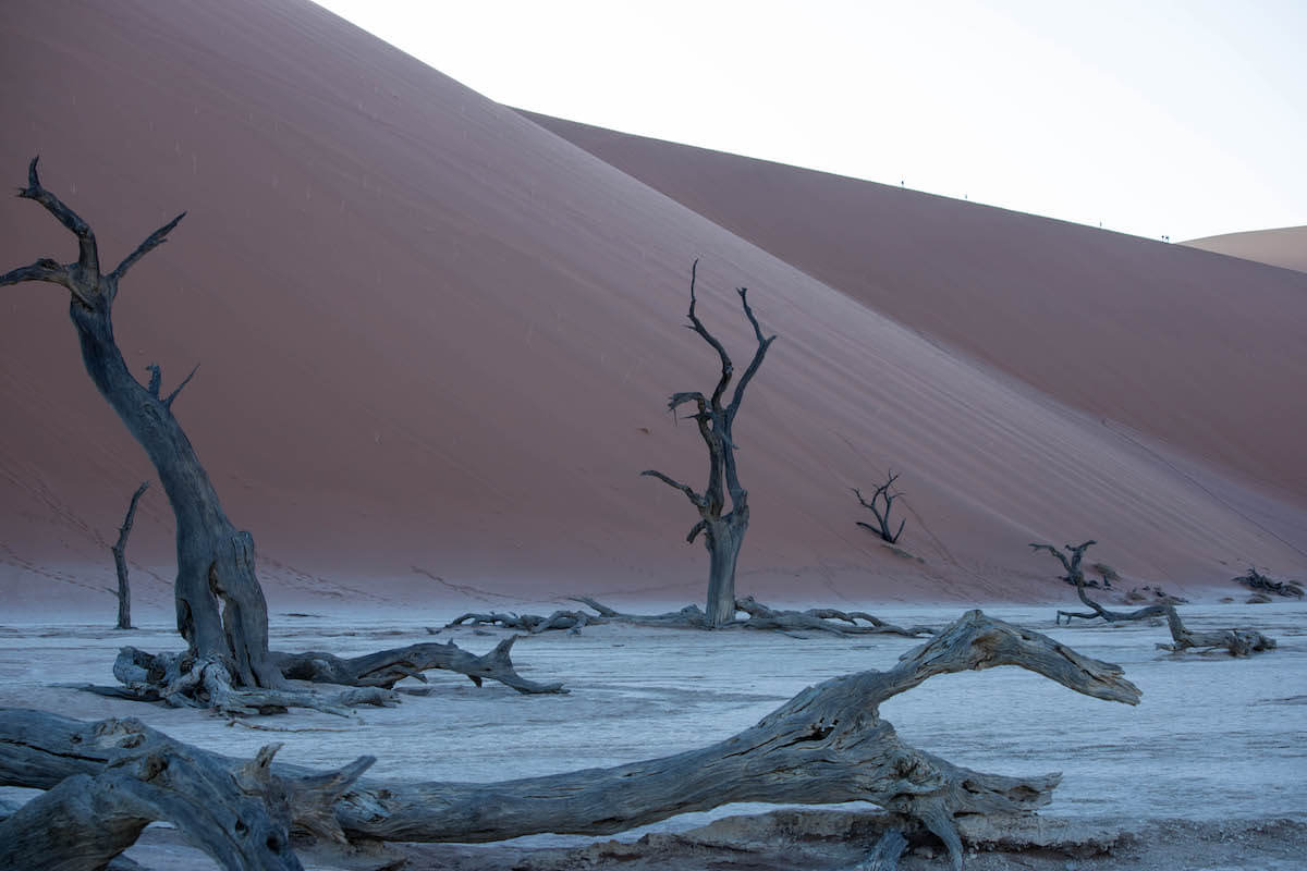 sossusvlei 4 Parc del Sossusvlei