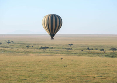 Gaudint del Serengeti amb globus aerostàtic