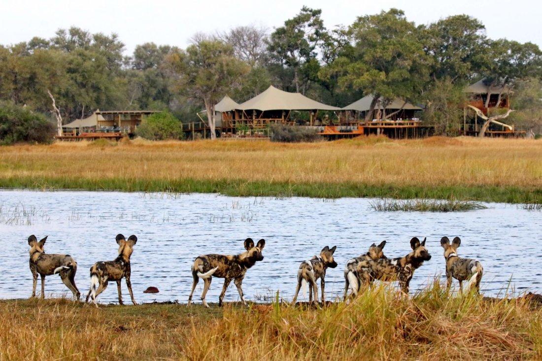 Tuludi Camp, Okavango Delta